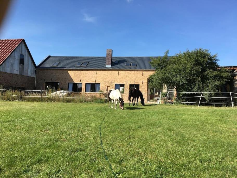 Ferienwohnung Zossen Gaestehaus Eksteriør billede